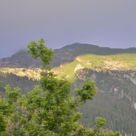 Domaine Du Grand Tetras Samoensアパートメント エクステリア 写真